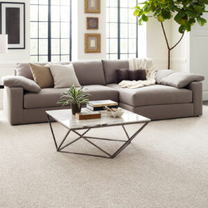 Living room flooring | Burris Carpet Plus, Inc