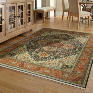 Area rug | Burris Carpet Plus, Inc